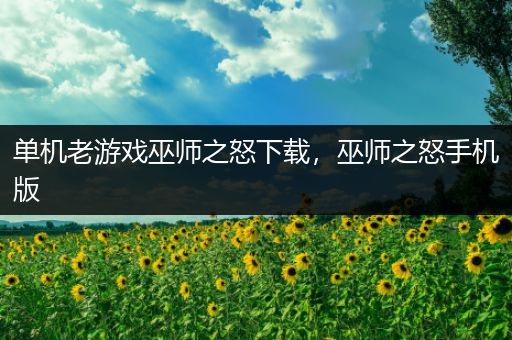 单机老游戏巫师之怒下载，巫师之怒手机版