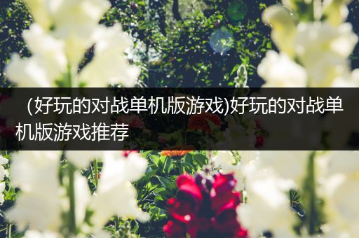 （好玩的对战单机版游戏)好玩的对战单机版游戏推荐
