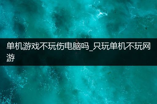 单机游戏不玩伤电脑吗_只玩单机不玩网游