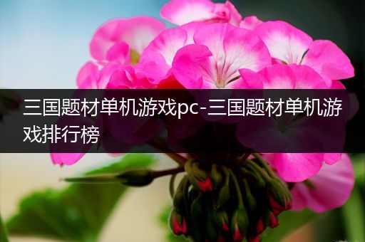 三国题材单机游戏pc-三国题材单机游戏排行榜