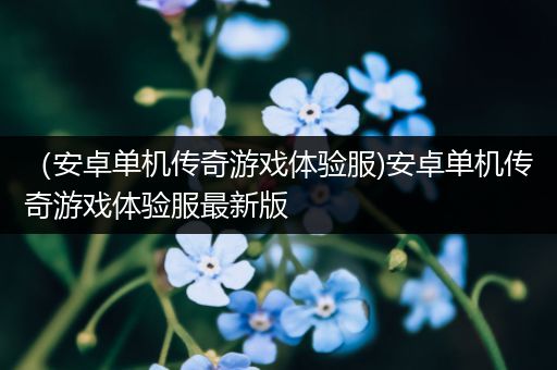 （安卓单机传奇游戏体验服)安卓单机传奇游戏体验服最新版