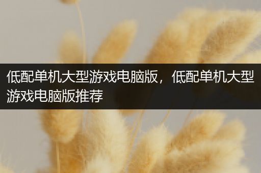 低配单机大型游戏电脑版，低配单机大型游戏电脑版推荐