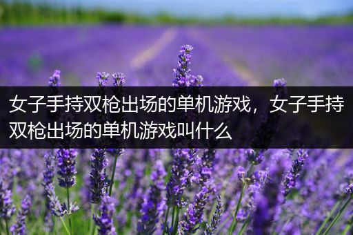 女子手持双枪出场的单机游戏，女子手持双枪出场的单机游戏叫什么