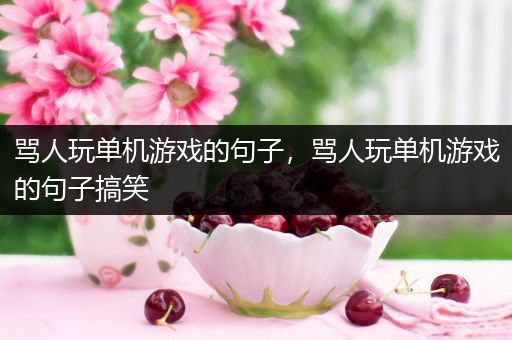 骂人玩单机游戏的句子，骂人玩单机游戏的句子搞笑