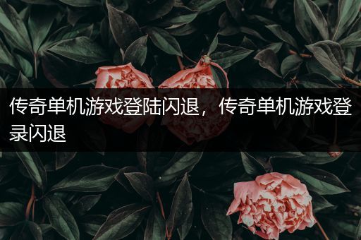 传奇单机游戏登陆闪退，传奇单机游戏登录闪退
