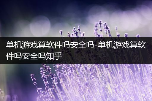 单机游戏算软件吗安全吗-单机游戏算软件吗安全吗知乎