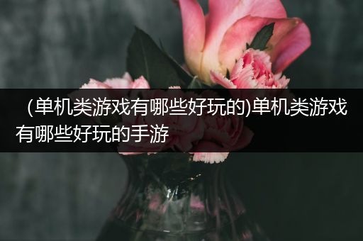 （单机类游戏有哪些好玩的)单机类游戏有哪些好玩的手游