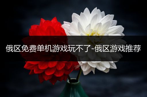 俄区免费单机游戏玩不了-俄区游戏推荐