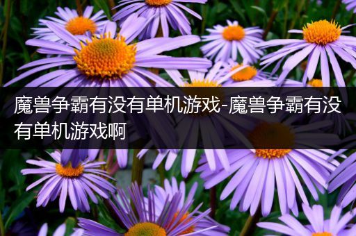 魔兽争霸有没有单机游戏-魔兽争霸有没有单机游戏啊