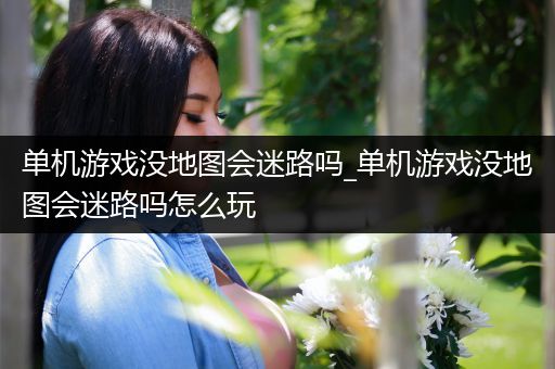 单机游戏没地图会迷路吗_单机游戏没地图会迷路吗怎么玩