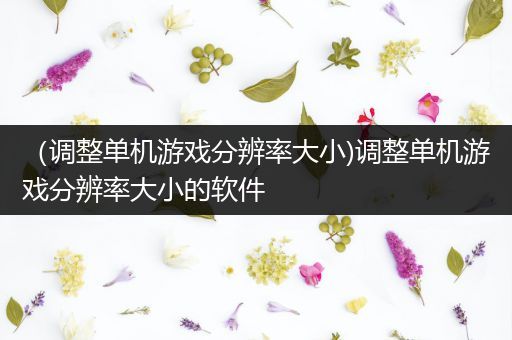 （调整单机游戏分辨率大小)调整单机游戏分辨率大小的软件
