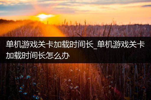 单机游戏关卡加载时间长_单机游戏关卡加载时间长怎么办