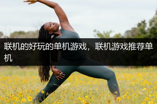 联机的好玩的单机游戏，联机游戏推荐单机