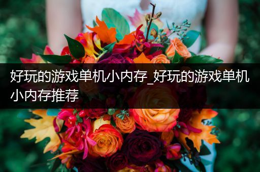 好玩的游戏单机小内存_好玩的游戏单机小内存推荐