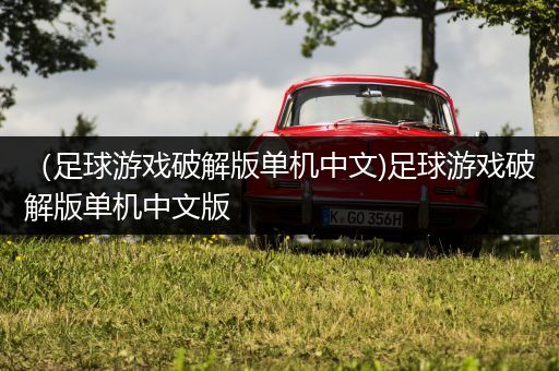 （足球游戏破解版单机中文)足球游戏破解版单机中文版