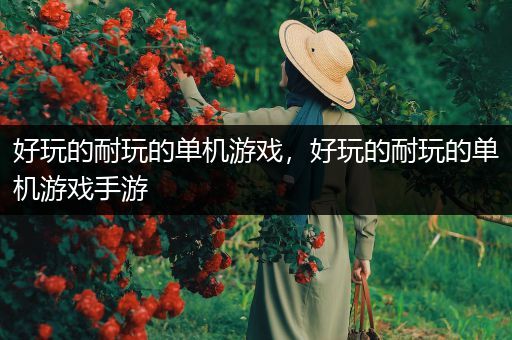 好玩的耐玩的单机游戏，好玩的耐玩的单机游戏手游
