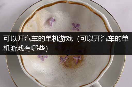 可以开汽车的单机游戏（可以开汽车的单机游戏有哪些）