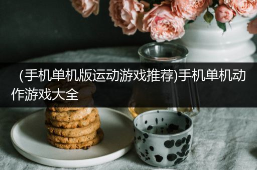 （手机单机版运动游戏推荐)手机单机动作游戏大全