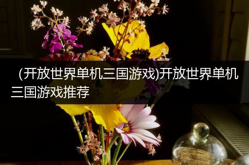 （开放世界单机三国游戏)开放世界单机三国游戏推荐