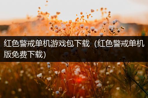 红色警戒单机游戏包下载（红色警戒单机版免费下载）