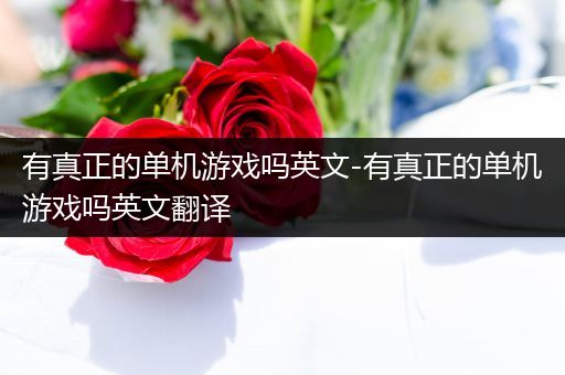 有真正的单机游戏吗英文-有真正的单机游戏吗英文翻译