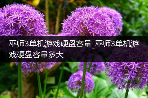 巫师3单机游戏硬盘容量_巫师3单机游戏硬盘容量多大
