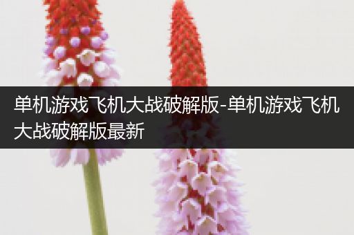 单机游戏飞机大战破解版-单机游戏飞机大战破解版最新