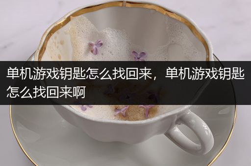 单机游戏钥匙怎么找回来，单机游戏钥匙怎么找回来啊
