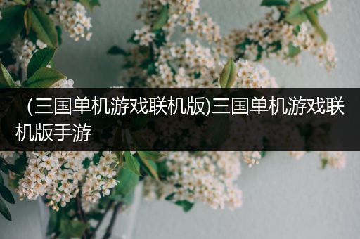 （三国单机游戏联机版)三国单机游戏联机版手游