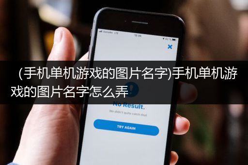 （手机单机游戏的图片名字)手机单机游戏的图片名字怎么弄