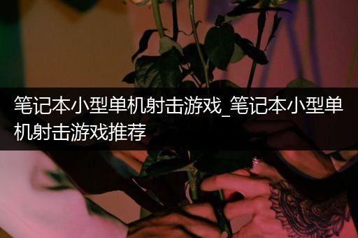笔记本小型单机射击游戏_笔记本小型单机射击游戏推荐