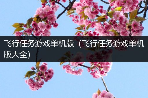 飞行任务游戏单机版（飞行任务游戏单机版大全）