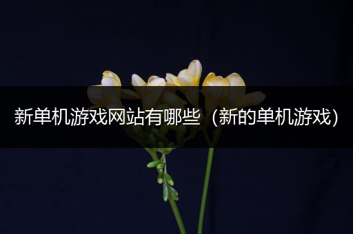 新单机游戏网站有哪些（新的单机游戏）