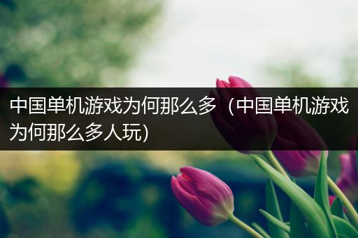 中国单机游戏为何那么多（中国单机游戏为何那么多人玩）