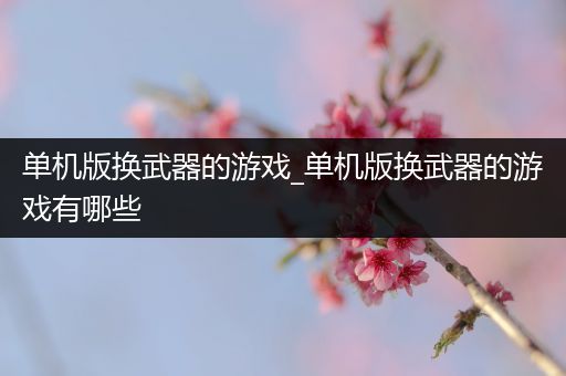 单机版换武器的游戏_单机版换武器的游戏有哪些