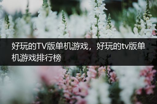 好玩的TV版单机游戏，好玩的tv版单机游戏排行榜