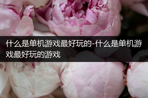 什么是单机游戏最好玩的-什么是单机游戏最好玩的游戏