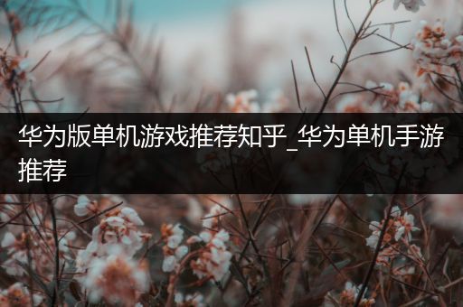 华为版单机游戏推荐知乎_华为单机手游推荐