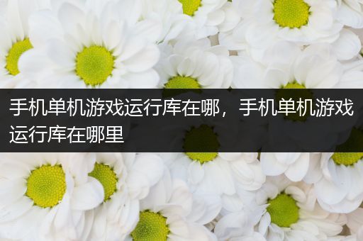 手机单机游戏运行库在哪，手机单机游戏运行库在哪里