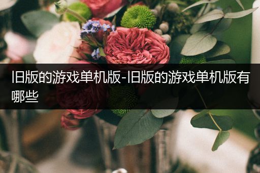 旧版的游戏单机版-旧版的游戏单机版有哪些