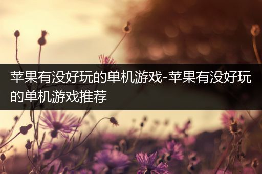 苹果有没好玩的单机游戏-苹果有没好玩的单机游戏推荐