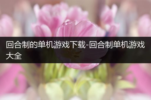 回合制的单机游戏下载-回合制单机游戏大全