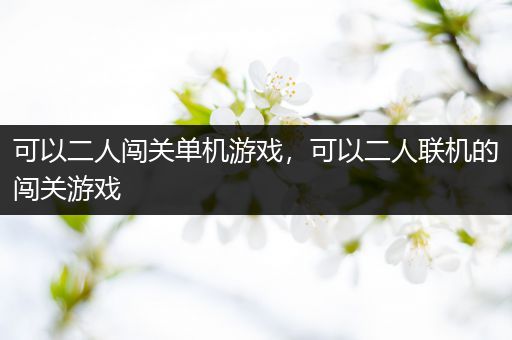 可以二人闯关单机游戏，可以二人联机的闯关游戏