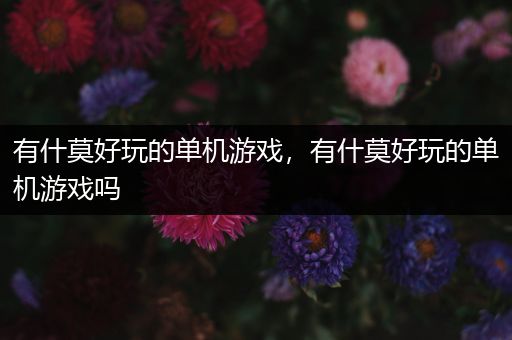有什莫好玩的单机游戏，有什莫好玩的单机游戏吗