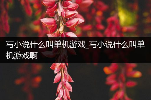 写小说什么叫单机游戏_写小说什么叫单机游戏啊
