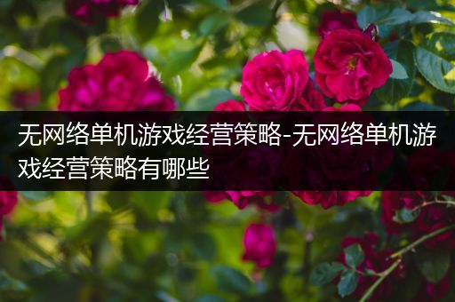 无网络单机游戏经营策略-无网络单机游戏经营策略有哪些