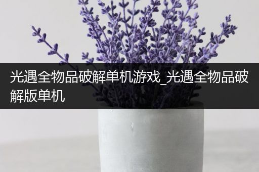 光遇全物品破解单机游戏_光遇全物品破解版单机