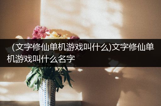 （文字修仙单机游戏叫什么)文字修仙单机游戏叫什么名字