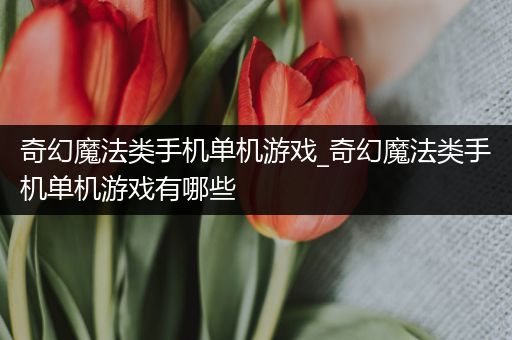 奇幻魔法类手机单机游戏_奇幻魔法类手机单机游戏有哪些