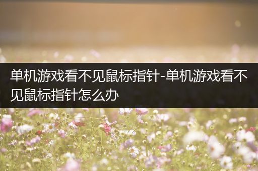 单机游戏看不见鼠标指针-单机游戏看不见鼠标指针怎么办